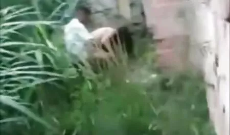 دو بازیگران پورنو نقش بازیگری در ریخته رقص با لباس سکسی گری