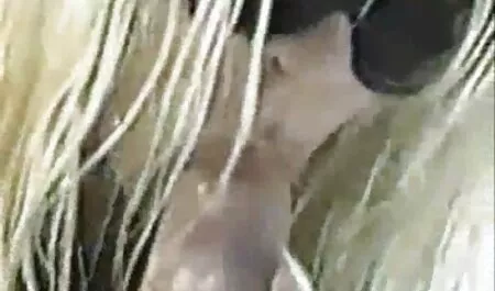 پرشور, زن و شوهر نوجوان فیلم برداری شده سکس با رقص توسط یک دوربین