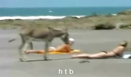 کدو تنبل licks کلاه در جوجه رقص سکسی جنیفر و cums