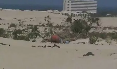 لوله کش سکس بانوی زیبا در سکس با رقص الاغ